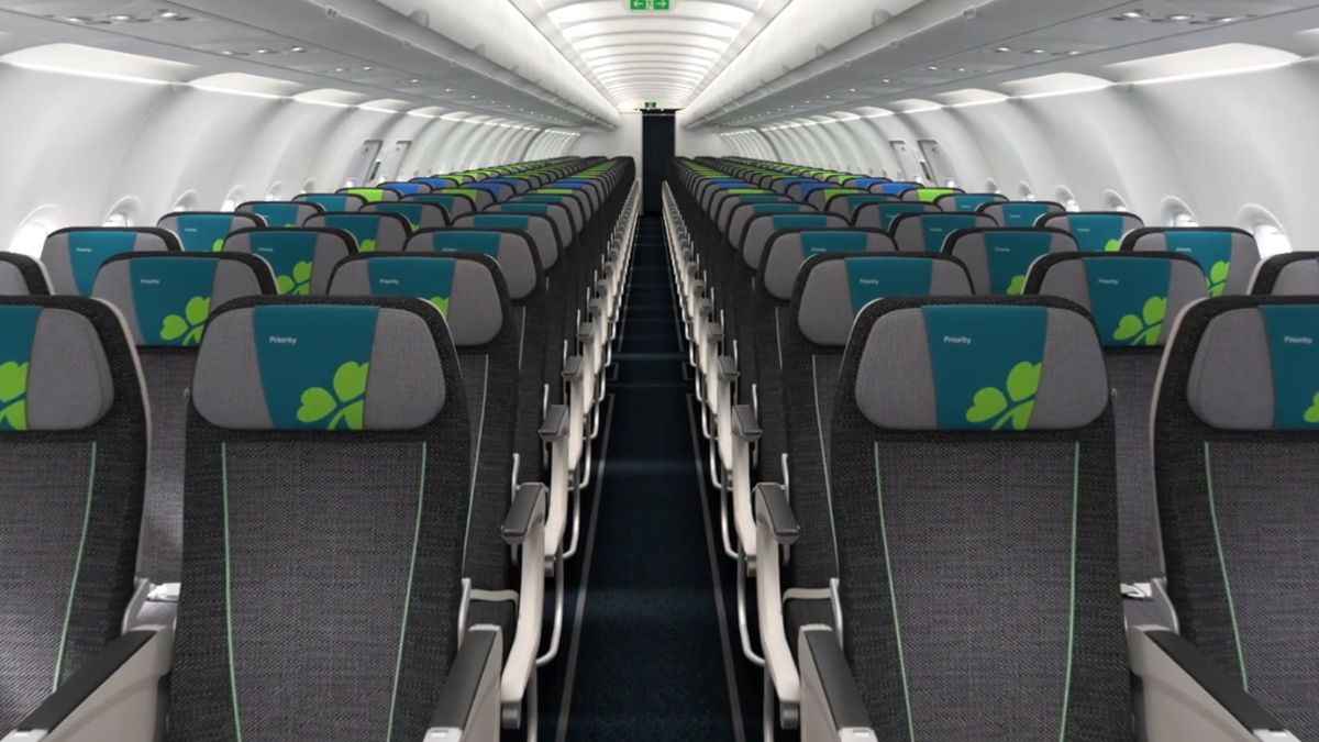 Couple Fight in Flight