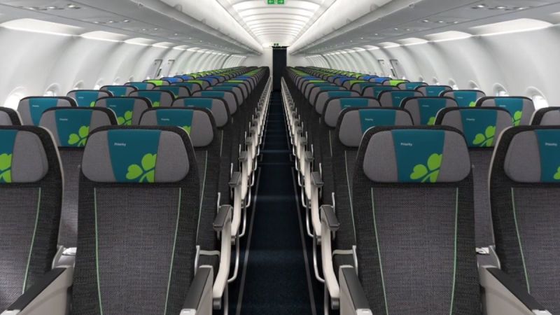 Couple Fight in Flight