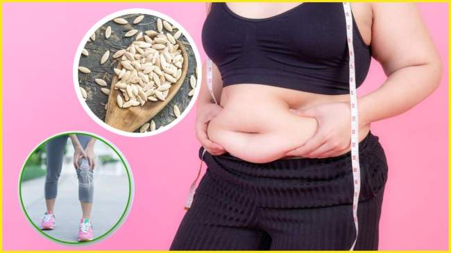 Cucumber Seeds Benefits Cucumber Seeds Benefits in Hindi