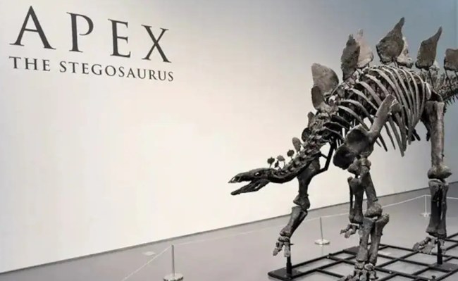 Dinosaur Auction in America