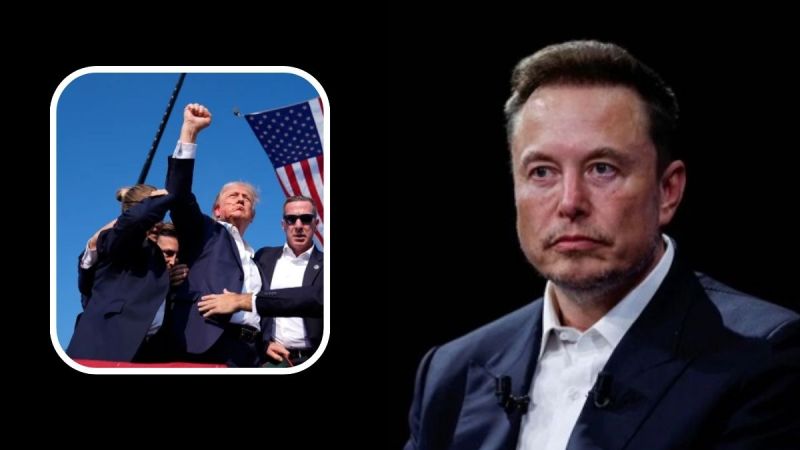 Elon Musk Donald Trump