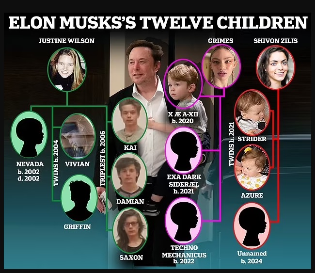 Elon Musk, Vivian Wilson