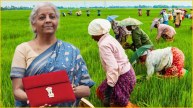 Union Budget 2024, Agriculture Budget