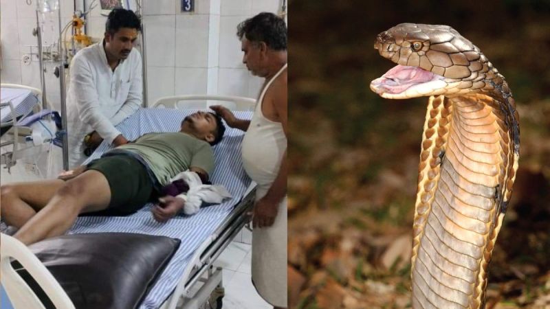 Fatehpur Snake Bite