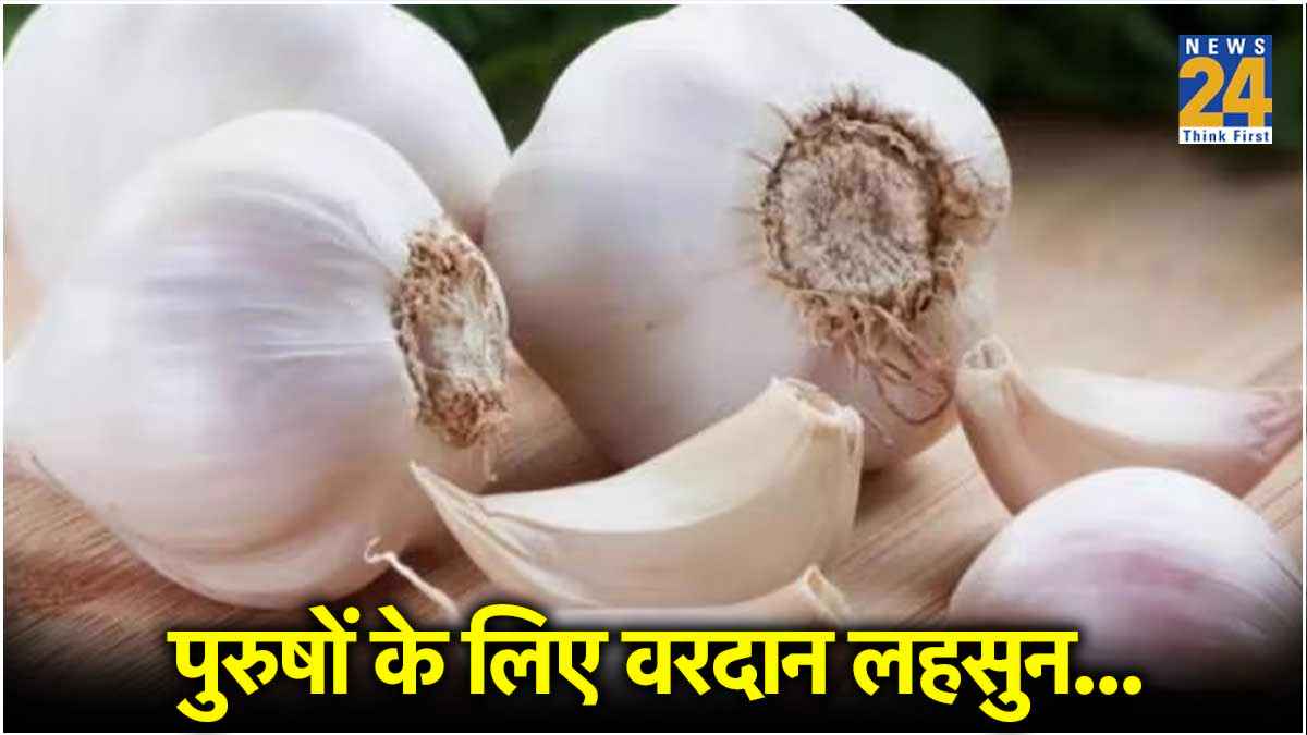 Garlic
