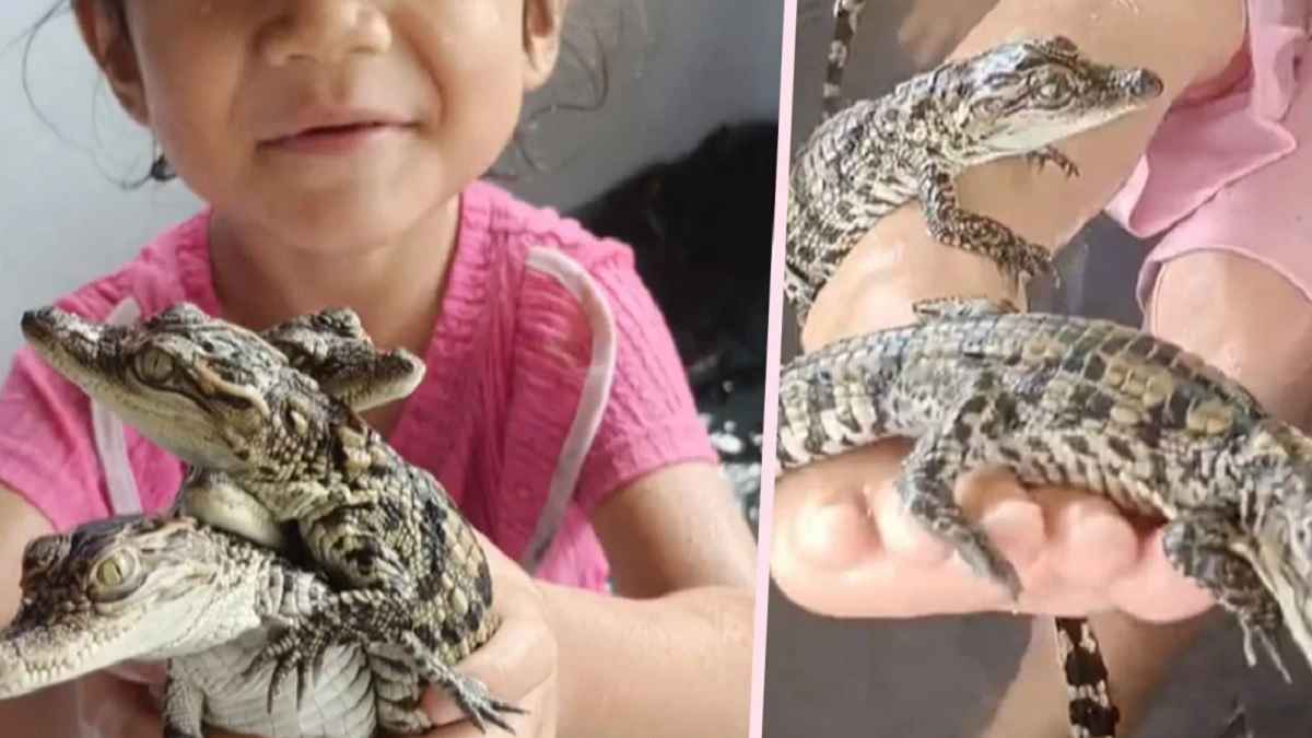 Girl Playing Crocodiles