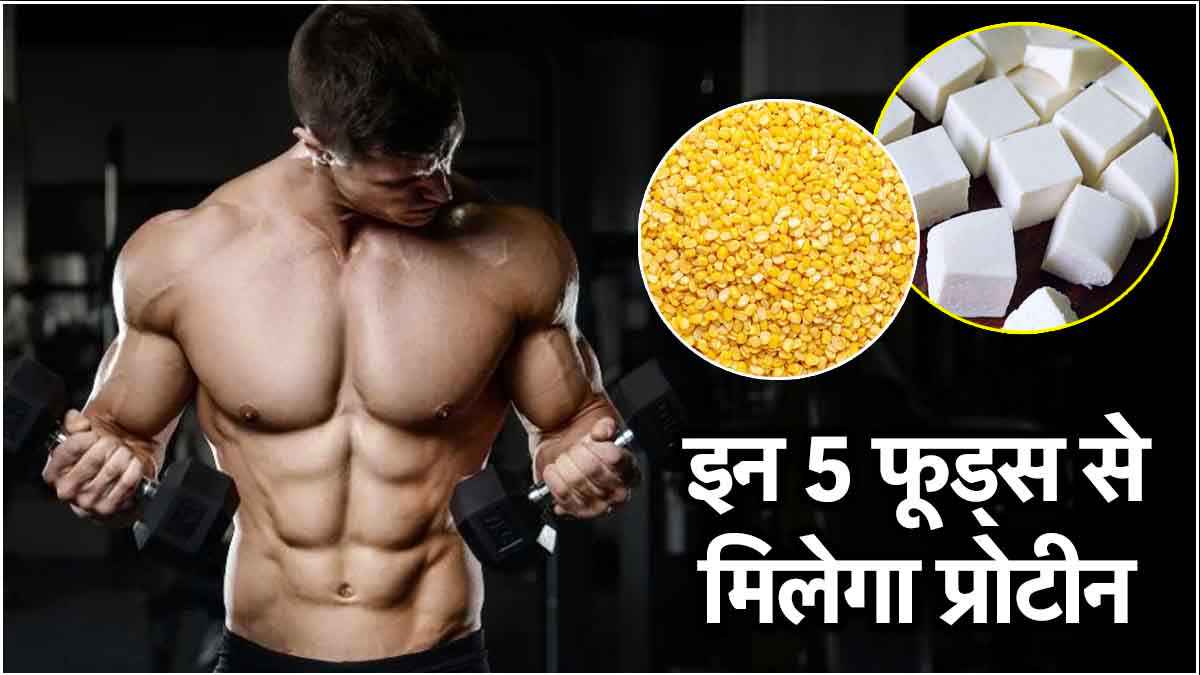 सावन में नहीं होगी जिम जाने वालों की बॉडी खराब, अंडे-मीट की जगह खा सकते हैं ये फूड्स