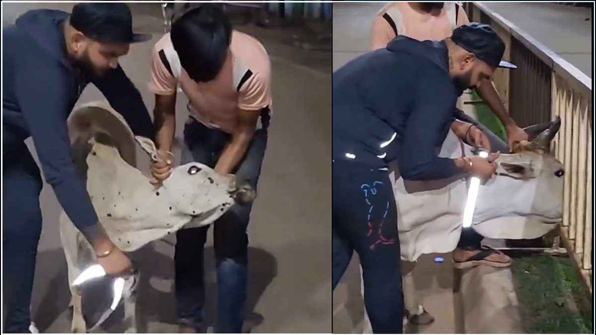 Desi Jugaad Video