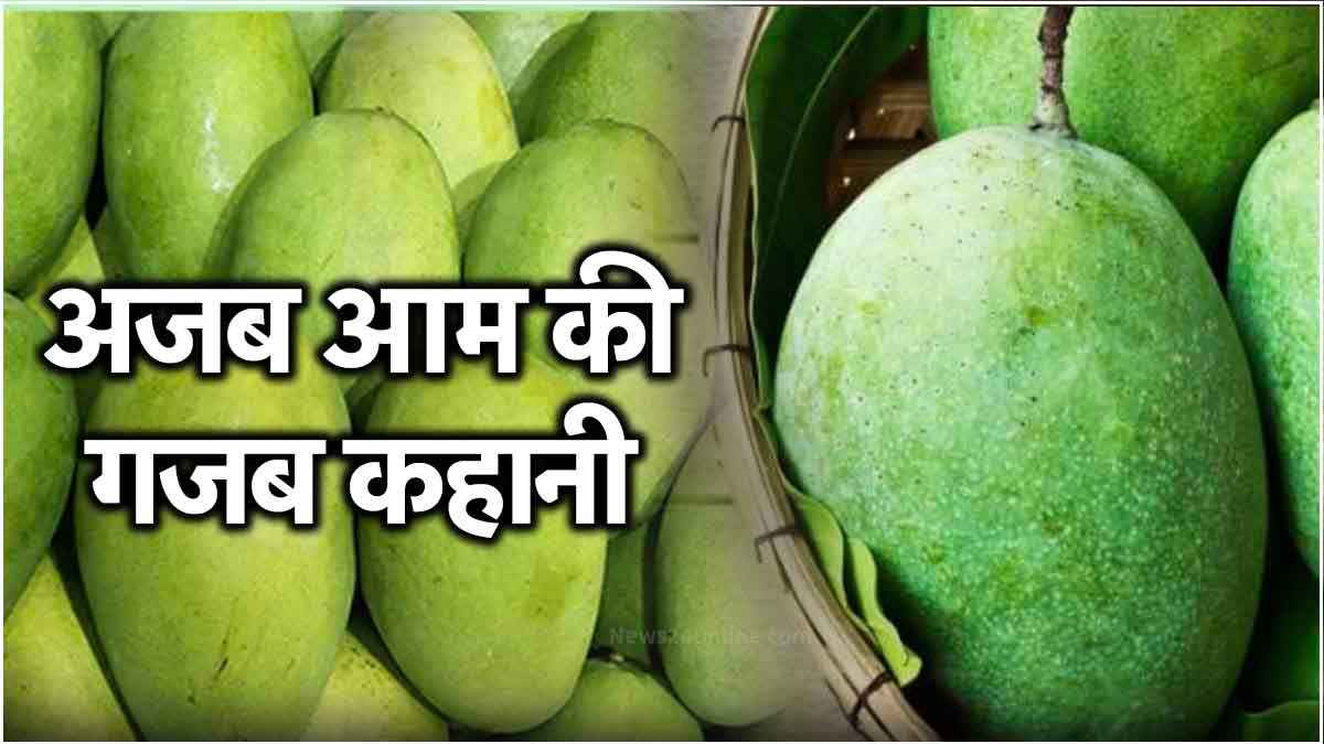 भगवान श‍िव के 'आशीर्वाद' से खास बना ये आम, इस वजह से कहलाया लंगड़ा