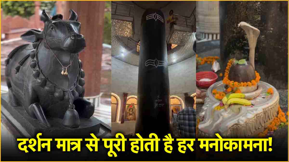 Sawan 2024: दिल्ली-एनसीआर में यहां है सबसे बड़ा शिवलिंग, एक नहीं दो नंदी करते हैं रखवाली