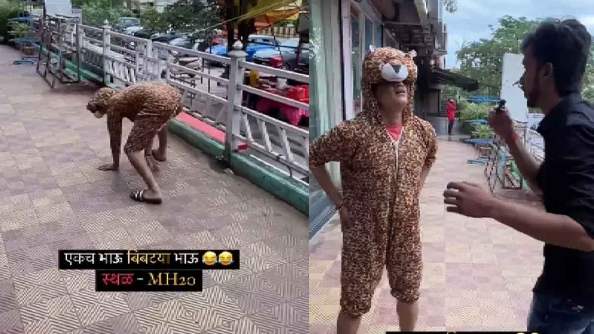 Viral Video: वन विभाग को "तेंदुए" की खुली चुनौती, 'हिम्मत है तो पकड़ लो', वीडियो देखकर नहीं रुकेगी हंसी