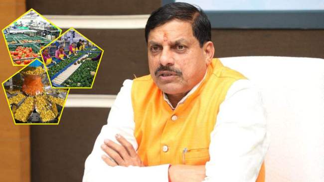 MP Food Processing Products MP Food Processing Products