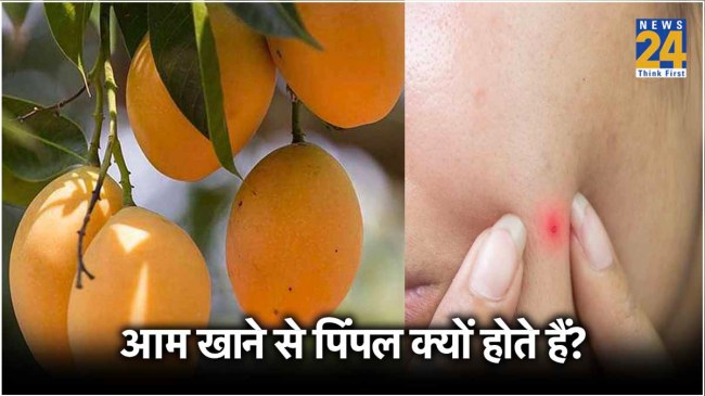 Mango pimple