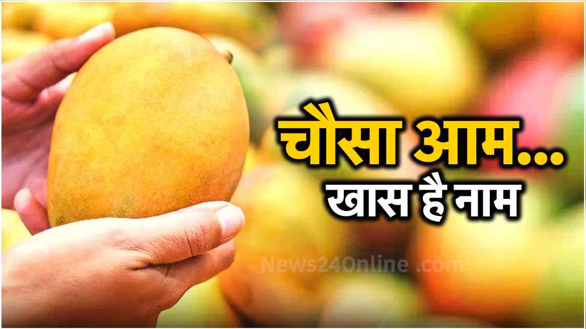 चौसा आम का नाम चौसा ही क्‍यों? जंग में जीत का था इनाम, पढ़ें रोचक क‍िस्‍सा