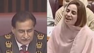 Pakistan Parliament Viral Video