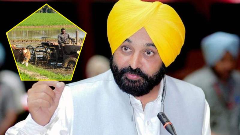 Punjab Agricultural Mechanization Scheme