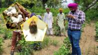 Punjab Agriculture Minister Gurmeet Singh Khuddian