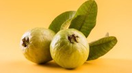 Roasted Guava health benefits