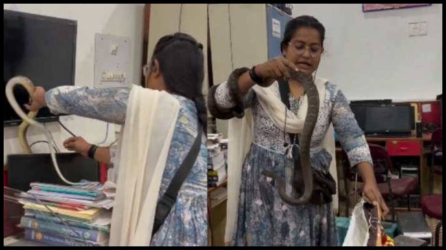 Snake Viral Video
