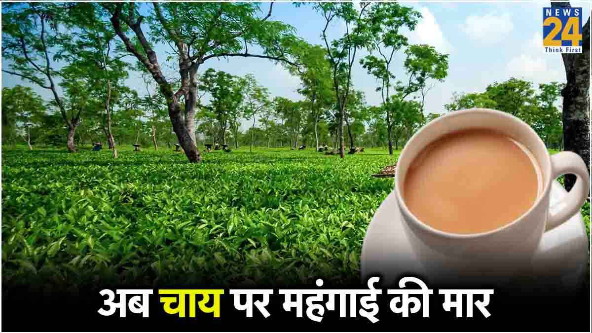 चाय के शौकीनों के लिए काम की खबर! महंगी पड़ेगी हर एक चुस्की, इन दो वजहों से बढ़ी कीमत