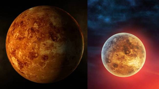 life on Venus life on Venus