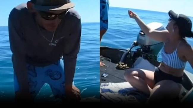 Florida Fish and Wildlife Incidents