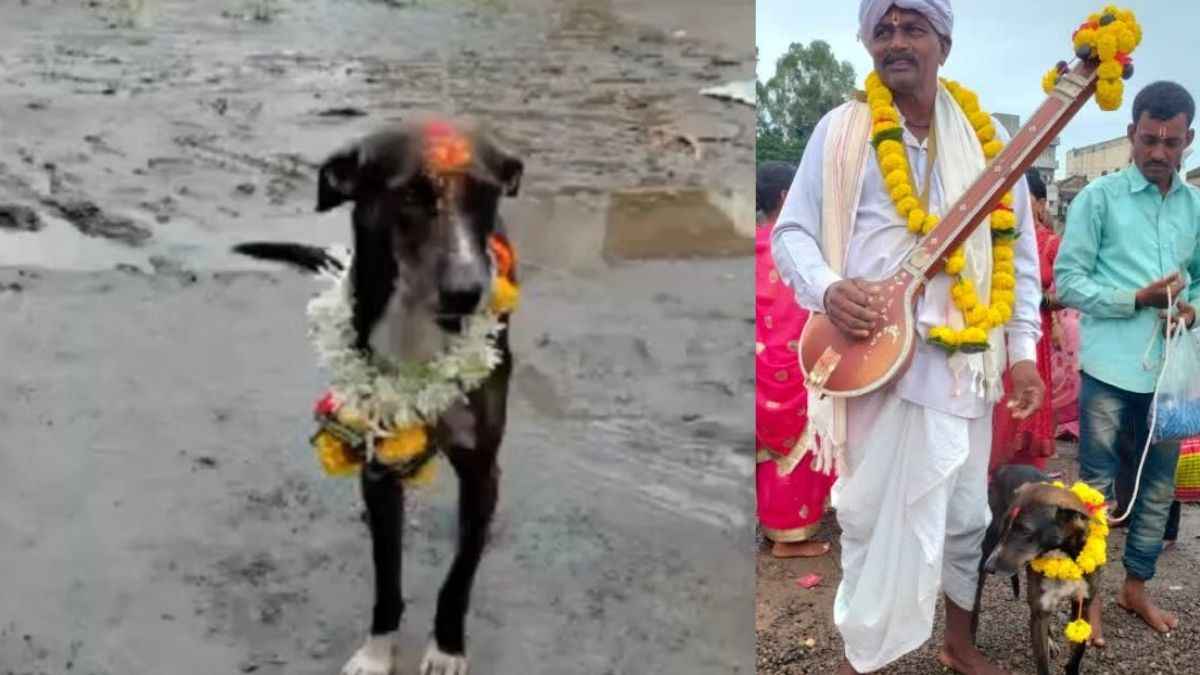 Viral Photo Karnatka