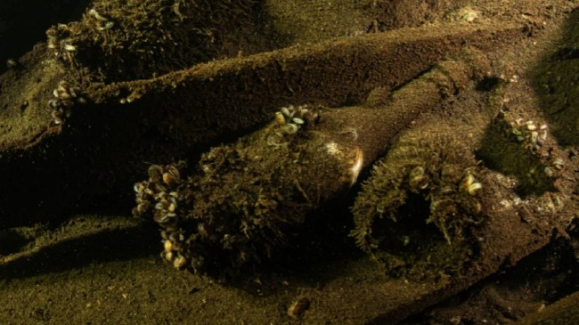 Shipwreck With Champagne Bottles In Baltic Sea