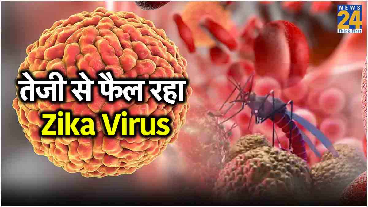 जीका वायरस से बचे रहने के लिए कैसे करें बचाव, अपनाएं ये टिप्स