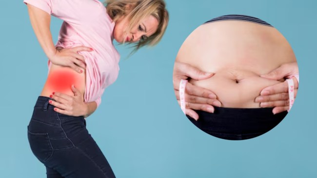 back pain and belly fat