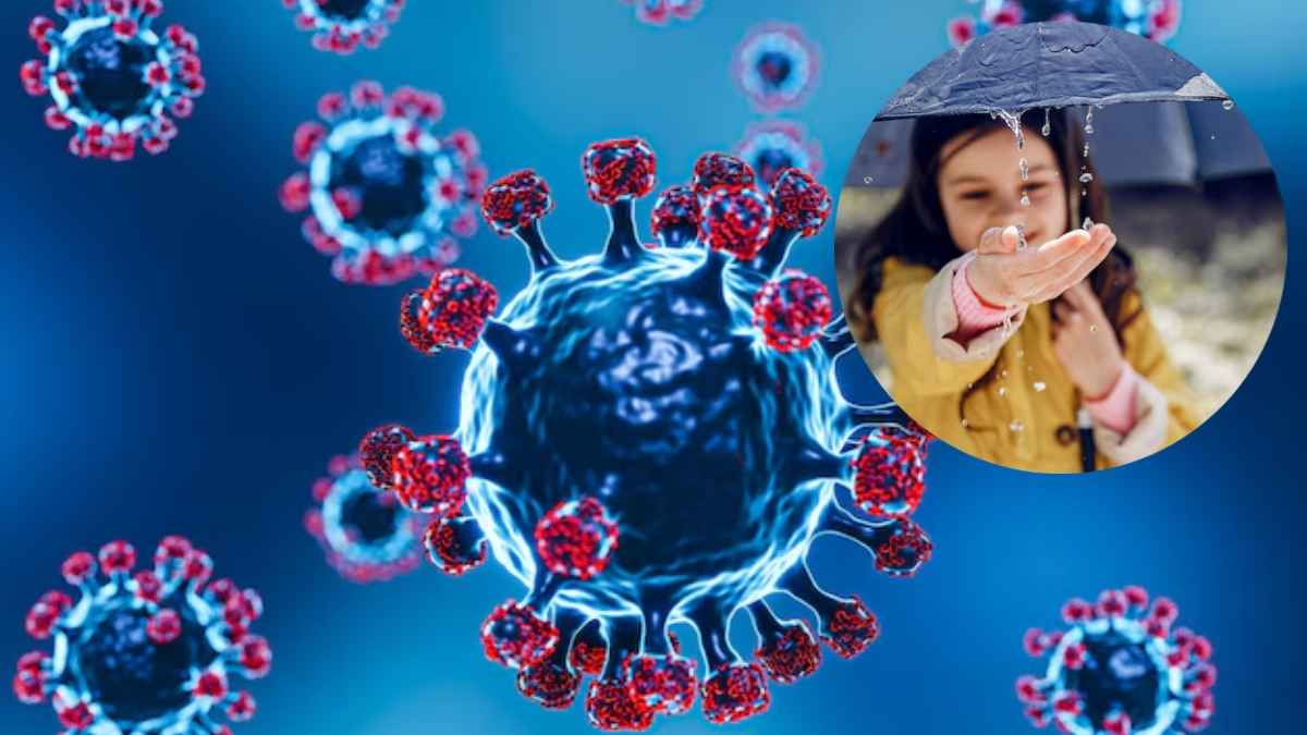 chandipura virus symptomS