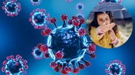 chandipura virus symptomS