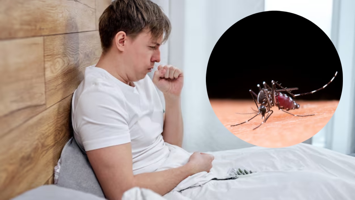 dengue risk in monsoon