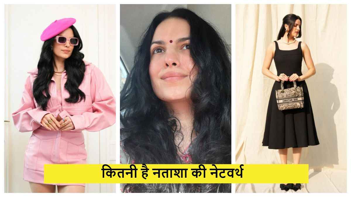 करोड़ों की मालिक हैं हार्दिक पांड्या की पूर्व पत्नी नताशा स्टेनकोविक, जानें कितनी है नेटवर्थ