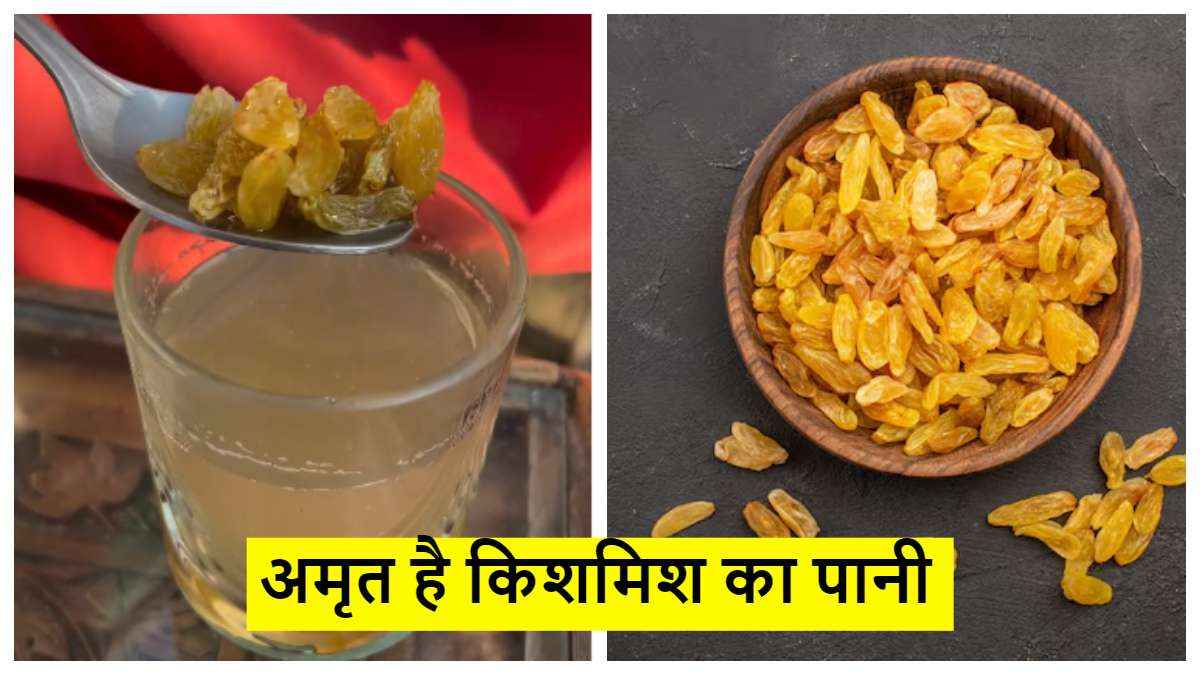 किशमिश ही नहीं  इसका पानी भी है सेहत के लिए फायदेमंद, कई बीमारियों को करता है दूर