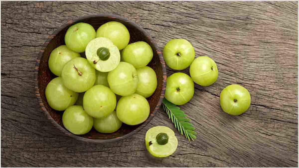 Amla Seeds
