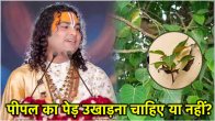 Astro Tips for Peepal Tree