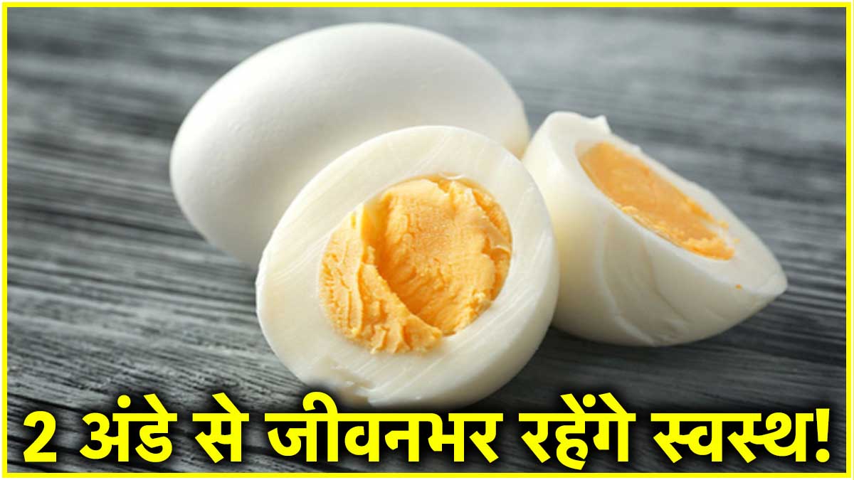 रोज 2 अंडे खाने से क्या होगा? एक्सपर्ट्स से जानिए! Egg Health Benefits