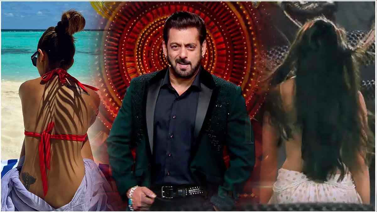 Actors Rejected Bigg Boss 18