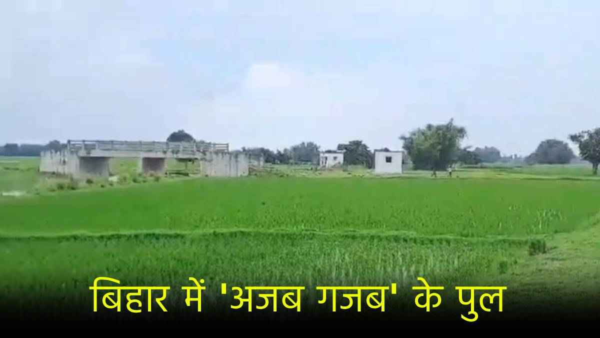 बिहार में अज्ञात शख्स बना गया 693 पुल-पुलिया! करोड़ों की 'ब्रिज मिस्ट्री' देखकर सरकार भी हैरान
