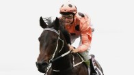 Black Caviar Dies