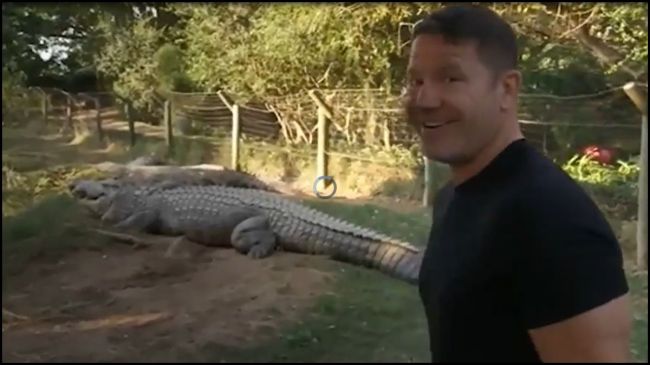 British Naturalist Steve Backshall With Henry