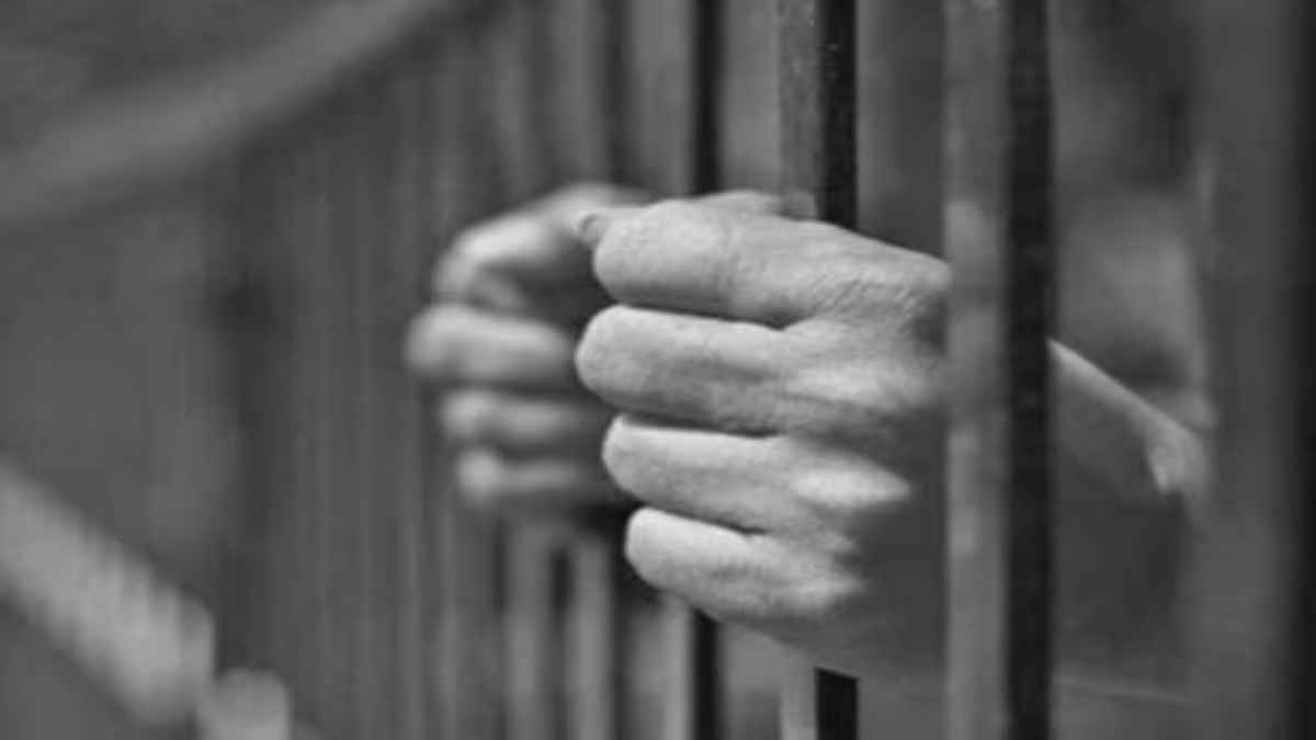 मशहूर प्रोफेसर ने 42 कुत्तों के साथ पार कीं हैवानियत की हदें, माफी मांगने के बाद भी कोर्ट ने सुनाई सजा