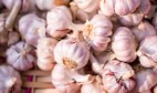 Fake Garlic Scandal