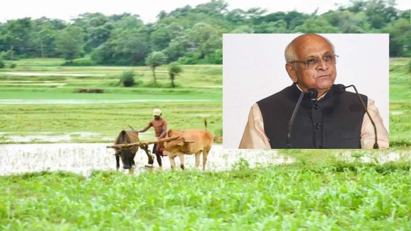 Gujarat Govt Announced Krishi Rahat Package