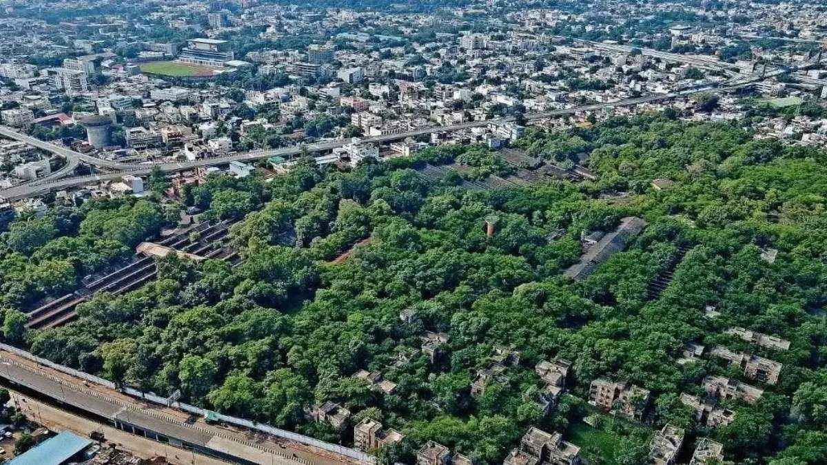 Indore and Jabalpur City Forest