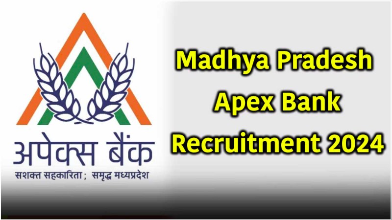 MP Apex Bank Recruitment 2024