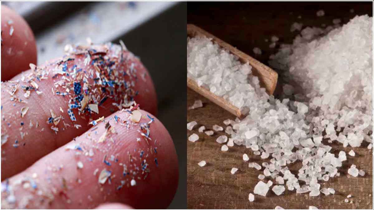 Microplastic in Salt and Sugar: चीनी-नमक में माइक्रोप्लास्टिक! क्या सेहत को होगा नुकसान, कैसे बचें इससे