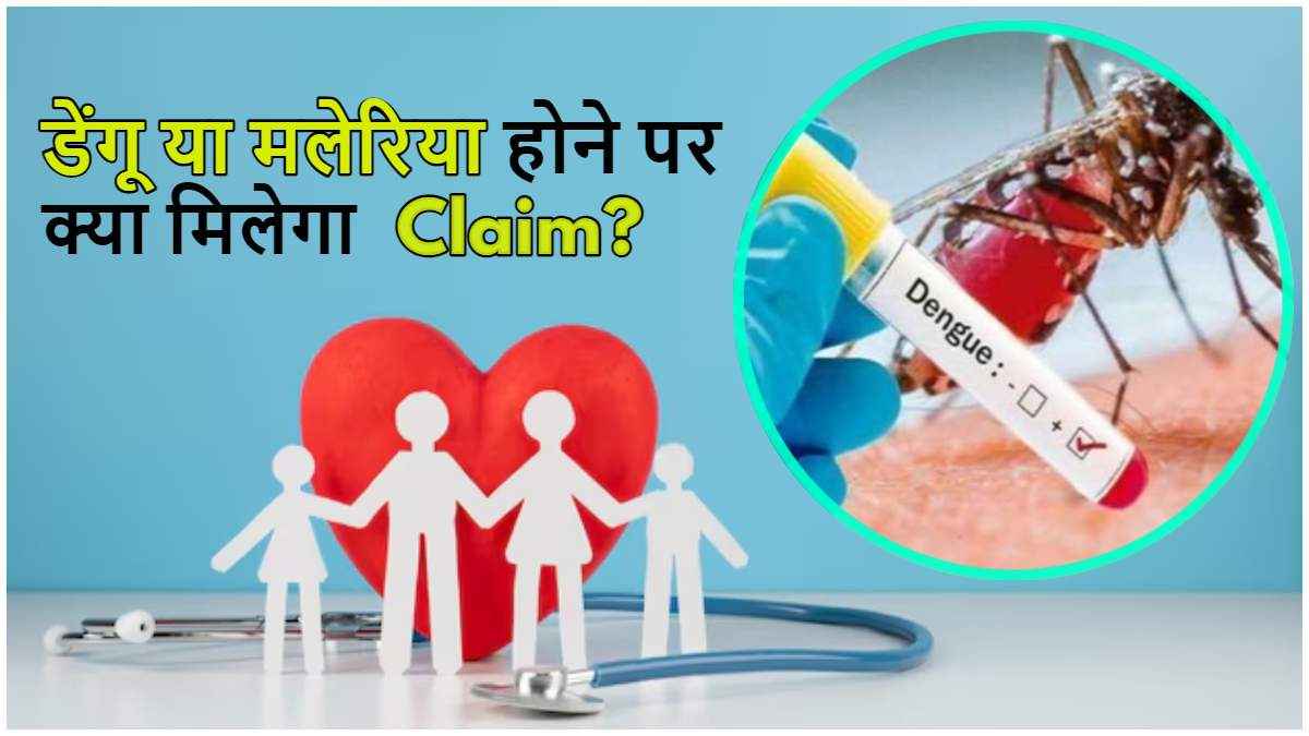मच्छरों का डंक, क्या दिलाएगा हेल्थ इंश्योरेंस क्लेम? जानें नियम