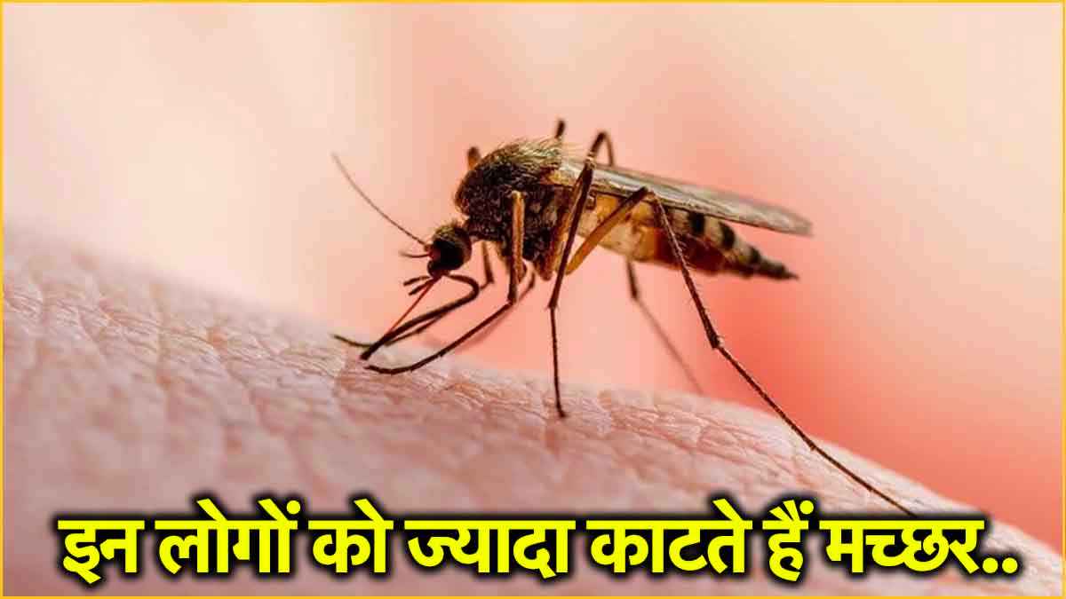 क्‍या कम बोलने वालों को मच्‍छर ज्‍यादा काटते हैं? वो लोग जो हैं मच्‍छरों के प्‍यारे